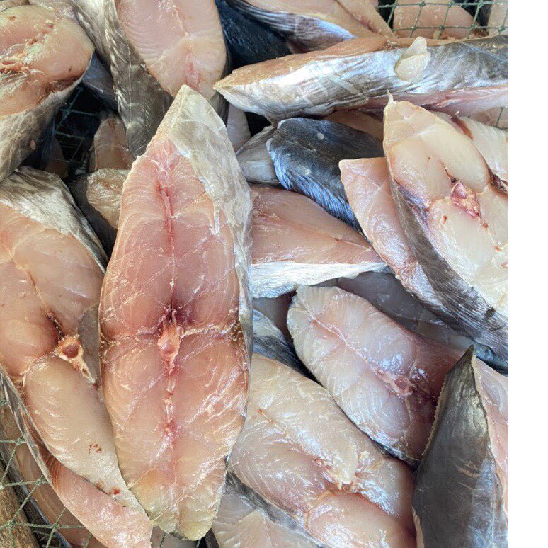 Cá Thu Một Nắng