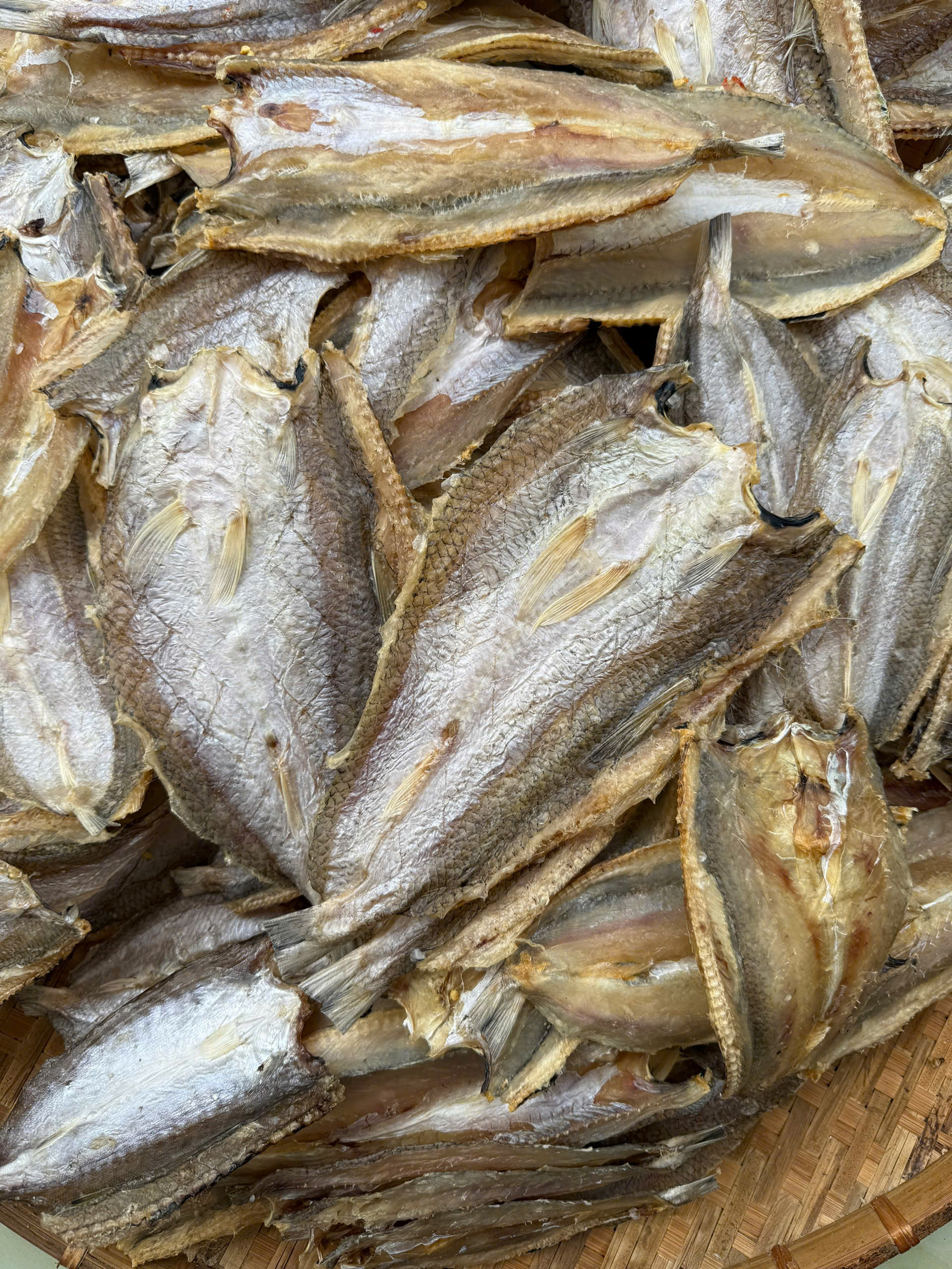 cá mối khô còn là nguồn thực phẩm giàu dinh dưỡng