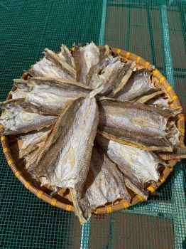 CÁ MỐI KHÔ ĐẬM ĐÀ HƯƠNG VỊ BIỂN